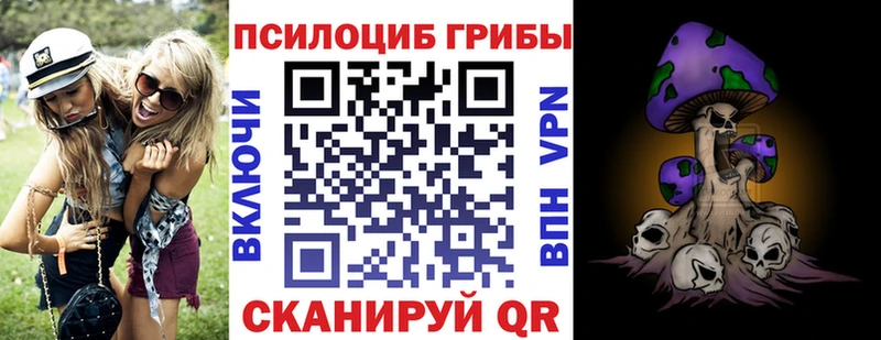 Галлюциногенные грибы Psilocybine cubensis Красково
