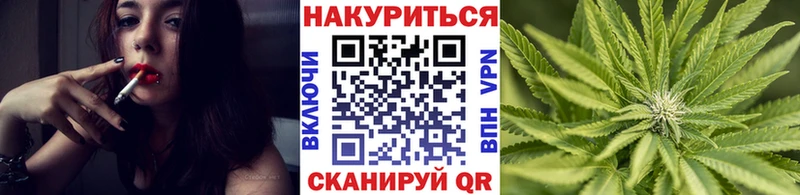 Бошки Шишки VHQ  Красково 